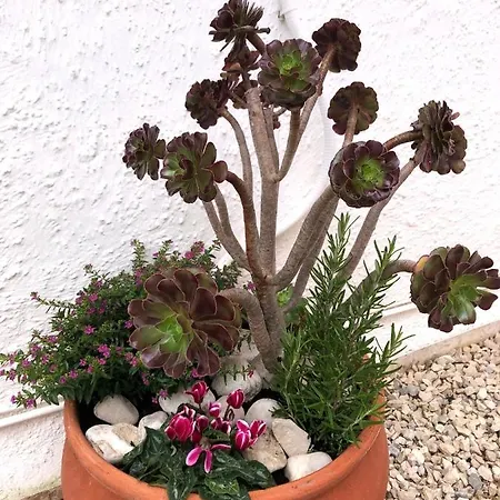 Delfines Prázdninový dům