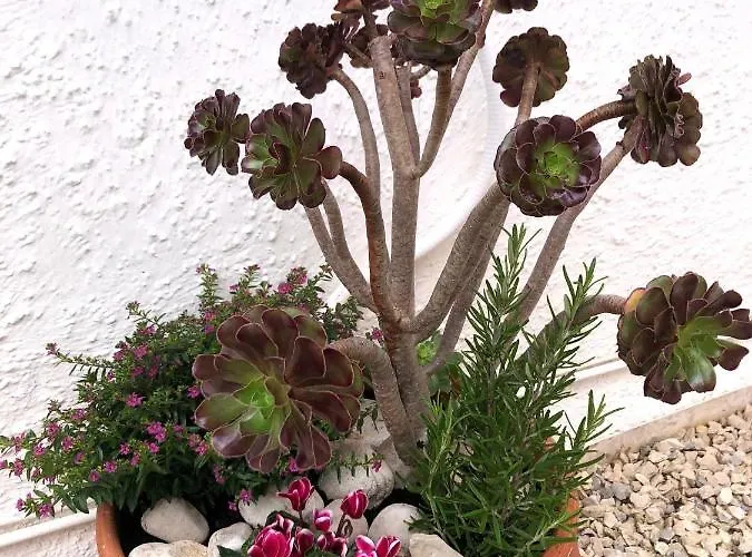 Delfines Дом отдыха