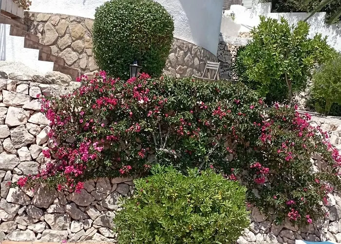 Delfines Дом отдыха